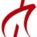 Logo Dualis dc