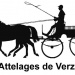 Logo Balades commentées en attelage à 2 chevaux