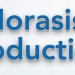 Logo Horasis production