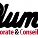 Logo Conseil Communication/Marketing