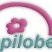 Logo Epilobe transport