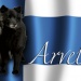 Logo Arvela suomen élevage chiens finnois de laponie lapinkoira