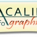 Logo Infographiste freelance