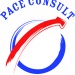 Logo Pace consult