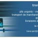 Logo transport/livraison pour particuliers et professionnels